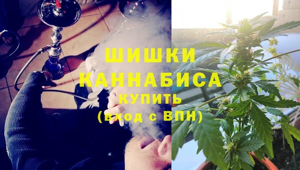 прущие грибы Зеленодольск
