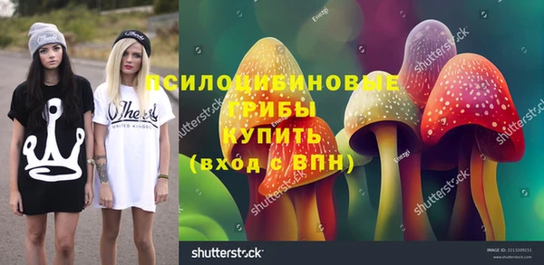 прущие грибы Зеленодольск